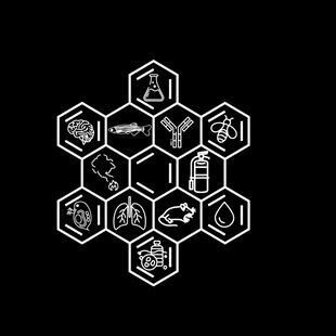 化学符号六边形组合图案