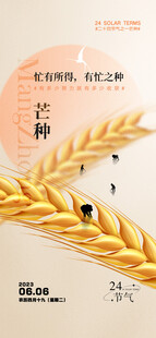 金黄麦穗展现丰收之美