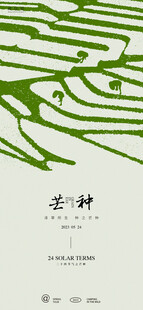 芒种叶脉间的静谧时光
