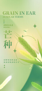 绿色麦粒开启耕种新篇