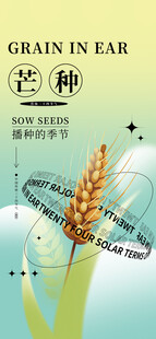 芒种时节麦穗与节气元素