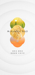 芒种海报模版