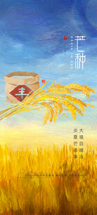 丰收景象中的金色麦田