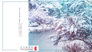 冬日雪景中的静谧林间小道