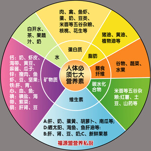 食物与七大营养素