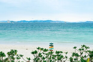 海边灯塔与绿植景观