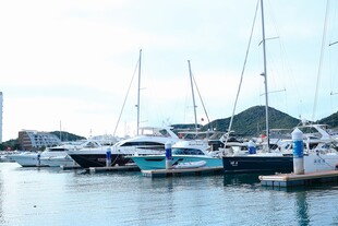 宁静港湾中的多彩停泊船只