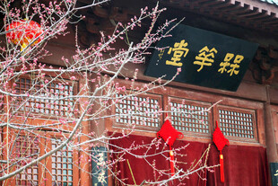 古建联华堂前红幕装点