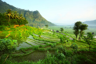 山间梯田美景