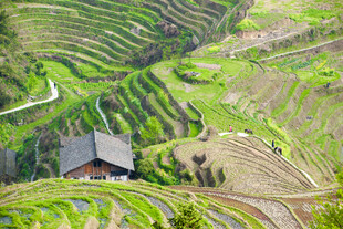山间梯田小屋田园景致
