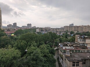 城市绿荫景观