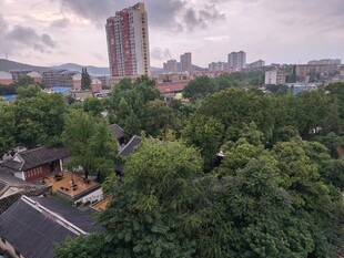城市绿荫中的建筑景观