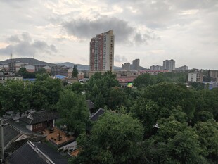 城市绿树环绕的建筑景观