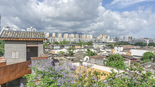 屋顶视角下的城市与绿植