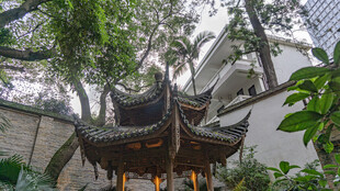 中式古亭掩映于绿树间