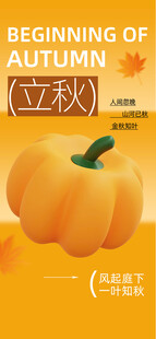 立秋时节的可爱南瓜