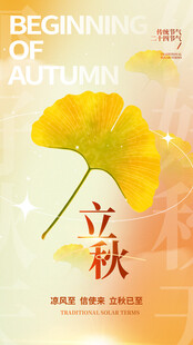 立秋时节银杏叶的诗意画面