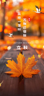 立秋时节节气海报