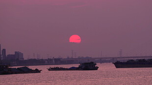 夕阳 三只鸟形成不开心创意