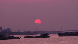 夕阳 三只鸟构成笑脸创意