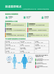 肠道菌群概述