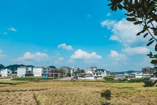 乡村田野边的民居风景