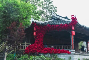 中式亭阁旁的艳丽红墙