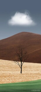旷野孤树天地间的寂寥