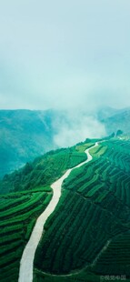山间蜿蜒公路绿意盎然