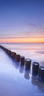 海边黄昏下的木桩景致