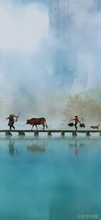 水上栈桥行人与牛的景致