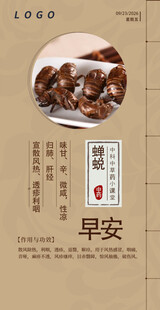中医中药问早 早安 蝉蜕