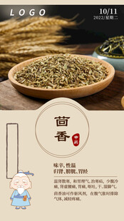 中医中药问早 早安 茴香