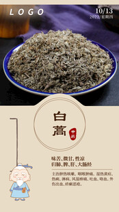 中医中药问早 早安 白蒿