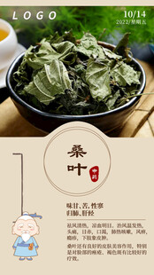 中医中药问早 早安 桑叶