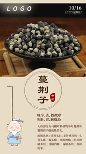 中医中药问早 早安 蔓荆子