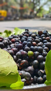 新鲜饱满的蓝莓带绿叶
