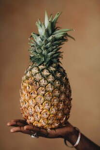 手托金黄菠萝