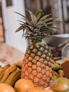 新鲜菠萝与多样水果