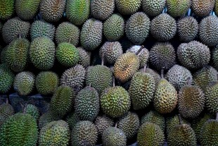 堆叠的新鲜榴莲果实