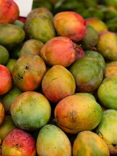 多彩新鲜芒果堆成小山