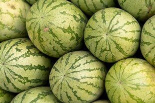 一堆新鲜西瓜