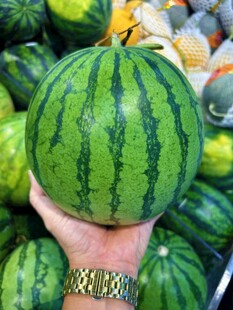 手捧新鲜大西瓜