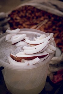桶中盛放的椰子壳碎片