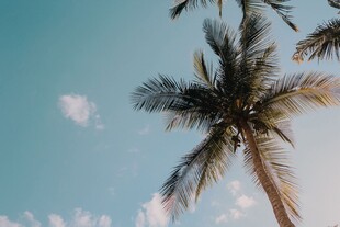  夏日海滨风情