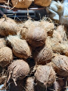 新鲜椰子堆叠展示