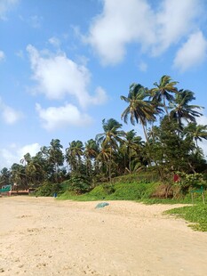 热带沙滩椰林美景