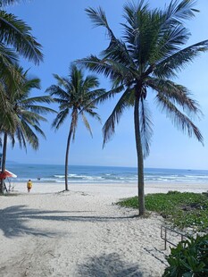 热带海滩 