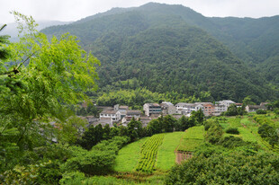 山间村落绿意盎然美景