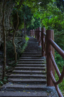雁荡山林间木梯